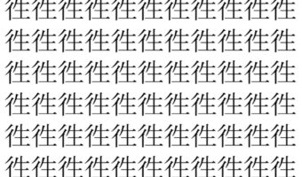 【脳トレ】「徃」の中に紛れて1つ違う文字がある！？あなたは何秒で探し出せるかな？？【違う文字を探せ！】