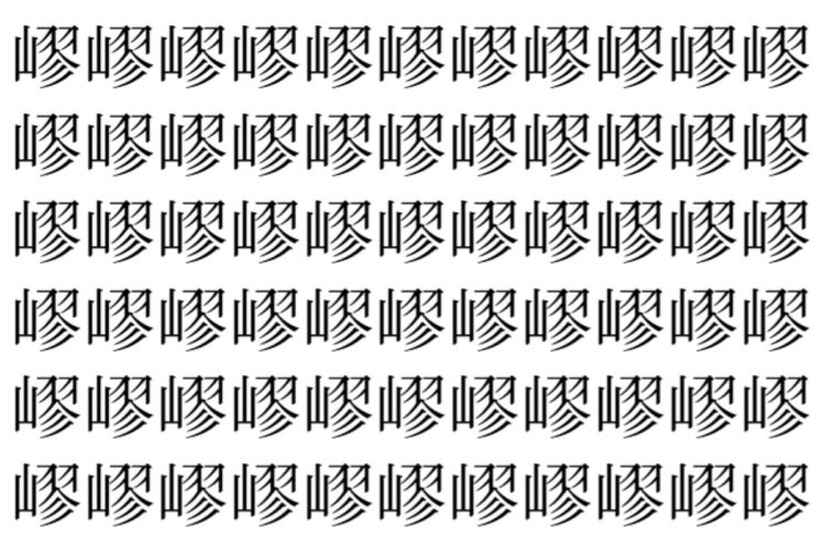 【脳トレ】「嵺」の中に紛れて1つ違う文字がある！？あなたは何秒で探し出せるかな？？【違う文字を探せ！】