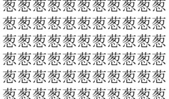 【脳トレ】「葱」の中に紛れて1つ違う文字がある!?あなたは何秒で探し出せるかな??【違う文字を探せ!】