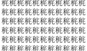 【脳トレ】「䅊」の中に紛れて1つ違う文字がある!?あなたは何秒で探し出せるかな??【違う文字を探せ!】