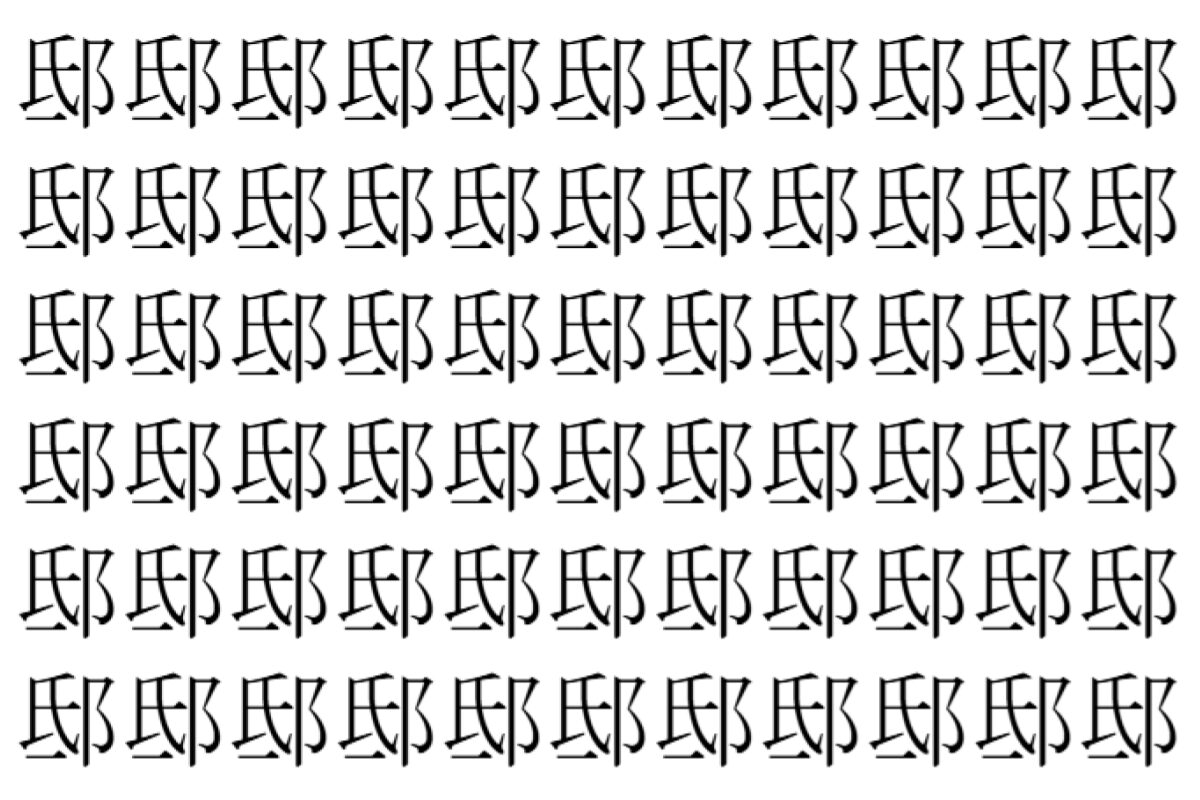 【脳トレ】「邸」の中に紛れて1つ違う文字がある!?あなたは何秒で探し出せるかな??【違う文字を探せ!】