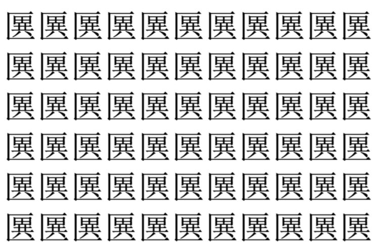 【脳トレ】「㔴」の中に紛れて1つ違う文字がある！？あなたは何秒で探し出せるかな？？【違う文字を探せ！】