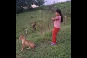 愛犬の背中は便利なスマホスタンド！？女の子がスマホを立てかけてダンス動画の撮影開始！！【海外・動画】