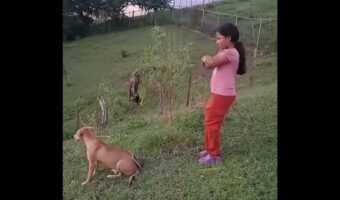 愛犬の背中は便利なスマホスタンド！？女の子がスマホを立てかけてダンス動画の撮影開始！！【海外・動画】