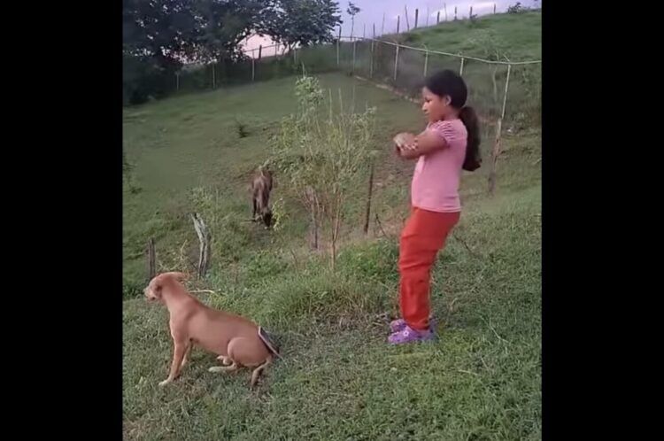 愛犬の背中は便利なスマホスタンド！？女の子がスマホを立てかけてダンス動画の撮影開始！！【海外・動画】