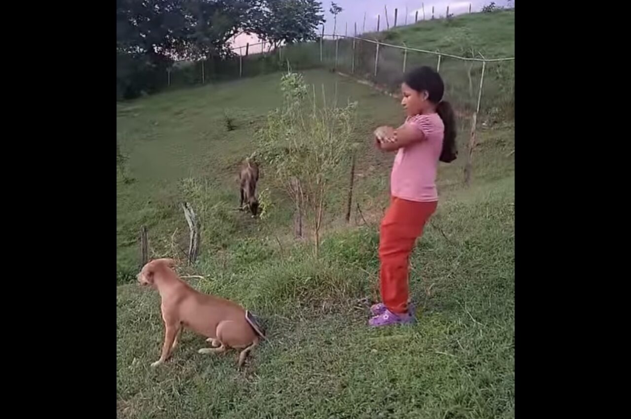 愛犬の背中は便利なスマホスタンド!?女の子がスマホを立てかけてダンス動画の撮影開始!!【海外・動画】