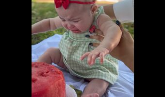 スイカのケーキに夢中な赤ちゃん!引き離されるたびに「もっと食べたい!」と猛アピール!?【海外・動画】