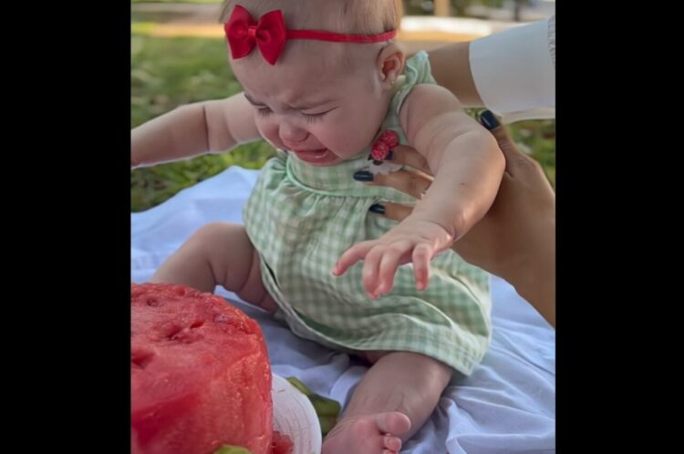スイカのケーキに夢中な赤ちゃん！引き離されるたびに「もっと食べたい！」と猛アピール！？【海外・動画】