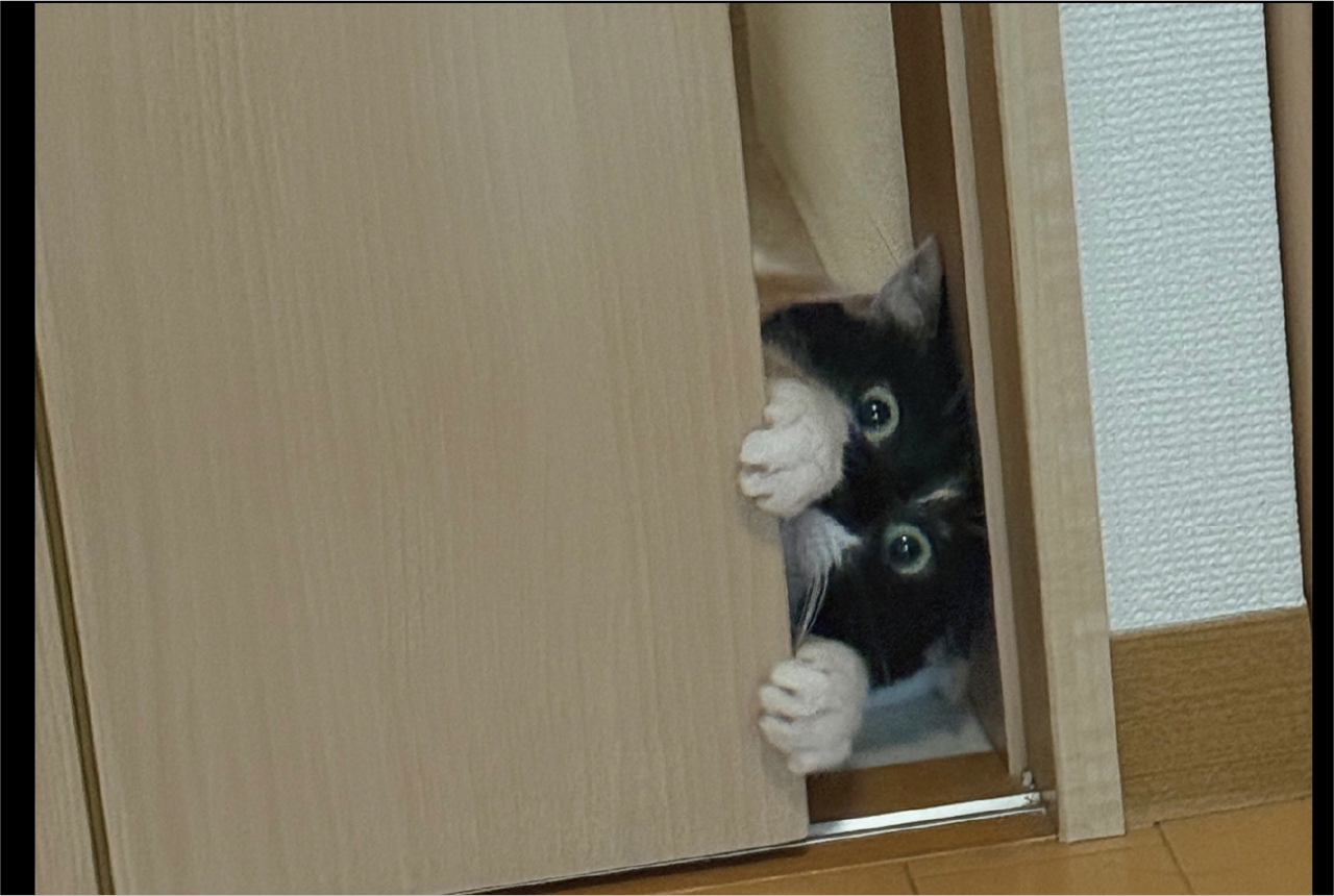 夏はちょうどいい?扉の隙間から顔を出すネコにビックリ!!「涼しくにゃったか?」「これは驚きますね!」