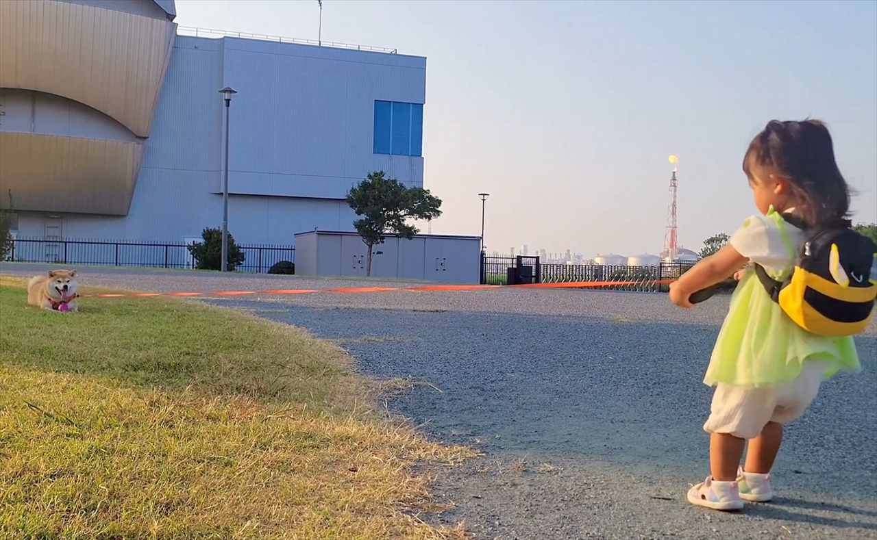 拒否柴の洗礼を受ける幼い女の子。リードをめいっぱい引っ張っても動いてもらえない!!「カワイイ根比べですね〜」「容赦のない拒否」