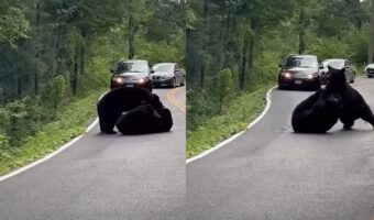 路上での喧嘩を捉えた映像がスゴイ!あまりの迫力に車も近づけず渋滞まで発生!