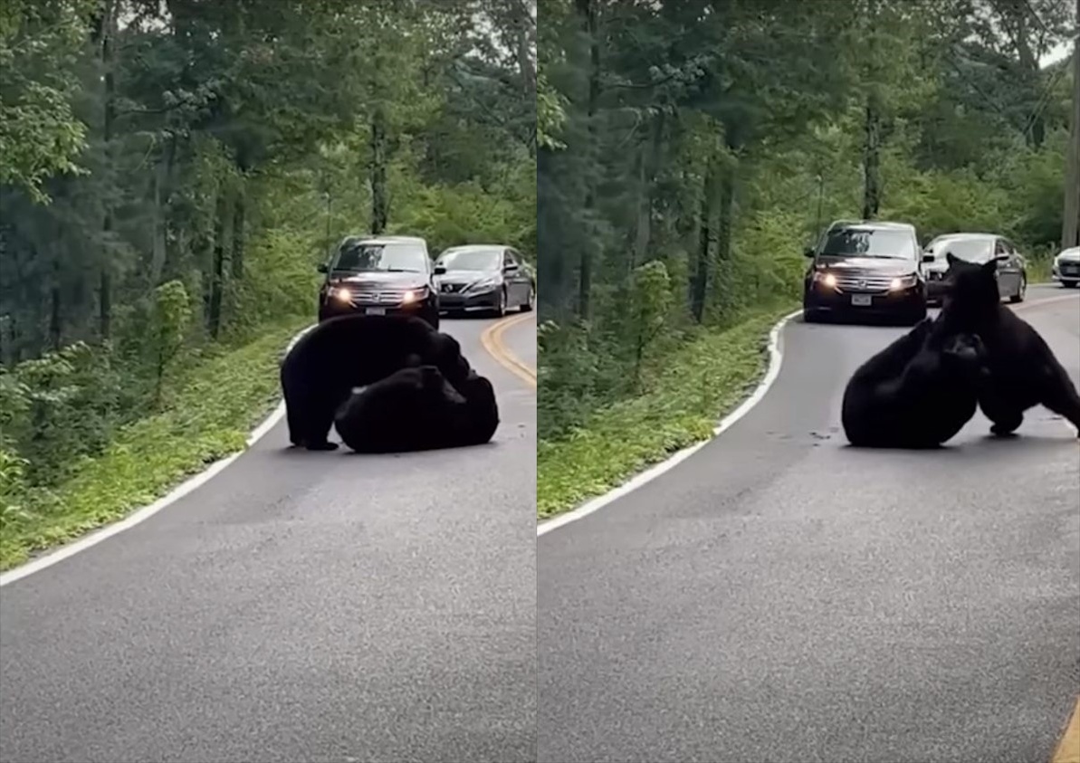 路上での喧嘩を捉えた映像がスゴイ!あまりの迫力に車も近づけず渋滞まで発生!