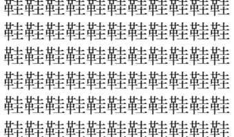 【脳トレ】「鞋」の中に紛れて1つ違う文字がある!?あなたは何秒で探し出せるかな??【違う文字を探せ!】