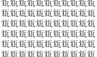 【脳トレ】「瓭」の中に紛れて1つ違う文字がある！？あなたは何秒で探し出せるかな？？【違う文字を探せ！】