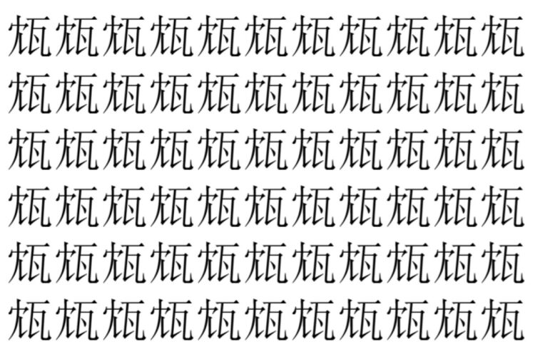 【脳トレ】「瓭」の中に紛れて1つ違う文字がある！？あなたは何秒で探し出せるかな？？【違う文字を探せ！】