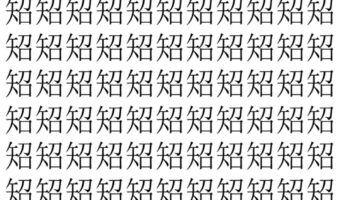 【脳トレ】「䂏」の中に紛れて1つ違う文字がある!?あなたは何秒で探し出せるかな??【違う文字を探せ!】
