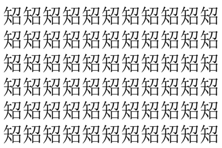 【脳トレ】「䂏」の中に紛れて1つ違う文字がある！？あなたは何秒で探し出せるかな？？【違う文字を探せ！】