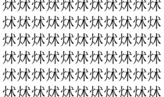 【脳トレ】「炢」の中に紛れて1つ違う文字がある!?あなたは何秒で探し出せるかな??【違う文字を探せ!】