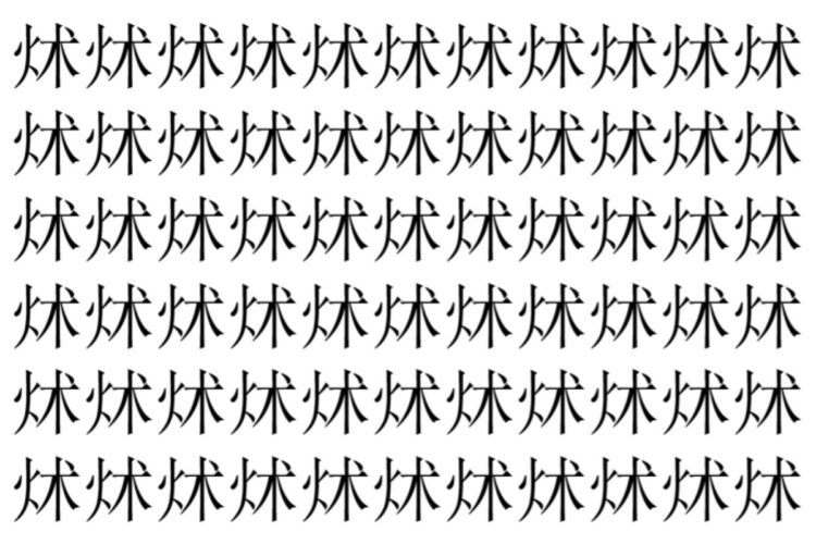 【脳トレ】「炢」の中に紛れて1つ違う文字がある！？あなたは何秒で探し出せるかな？？【違う文字を探せ！】