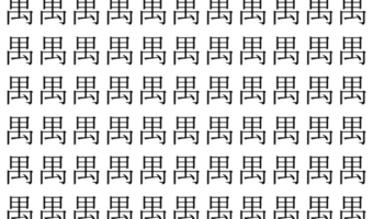 【脳トレ】「禺」の中に紛れて1つ違う文字がある!?あなたは何秒で探し出せるかな??【違う文字を探せ!】