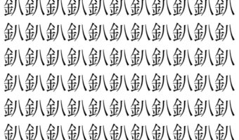 【脳トレ】「釟」の中に紛れて1つ違う文字がある!?あなたは何秒で探し出せるかな??【違う文字を探せ!】