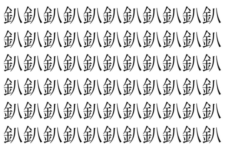 【脳トレ】「釟」の中に紛れて1つ違う文字がある！？あなたは何秒で探し出せるかな？？【違う文字を探せ！】