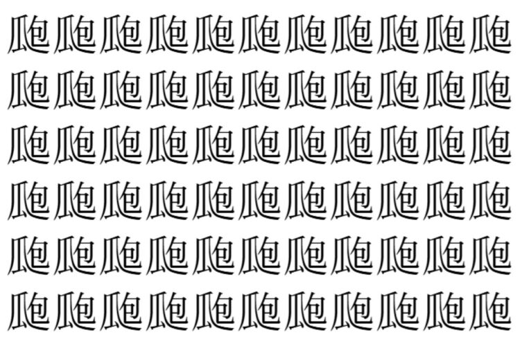 【脳トレ】「瓟」の中に紛れて1つ違う文字がある！？あなたは何秒で探し出せるかな？？【違う文字を探せ！】
