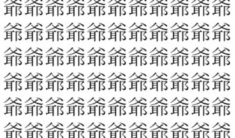 【脳トレ】「爺」の中に紛れて1つ違う文字がある!?あなたは何秒で探し出せるかな??【違う文字を探せ!】