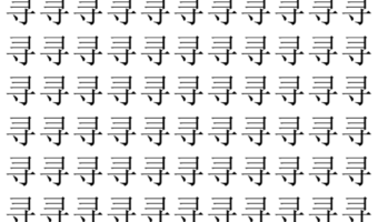 【脳トレ】「寻」の中に紛れて1つ違う文字がある！？あなたは何秒で探し出せるかな？？【違う文字を探せ！】