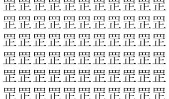 【脳トレ】「罡」の中に紛れて1つ違う文字がある！？あなたは何秒で探し出せるかな？？【違う文字を探せ！】