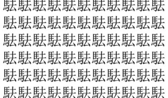 【脳トレ】「䮃」の中に紛れて1つ違う文字がある!?あなたは何秒で探し出せるかな??【違う文字を探せ!】