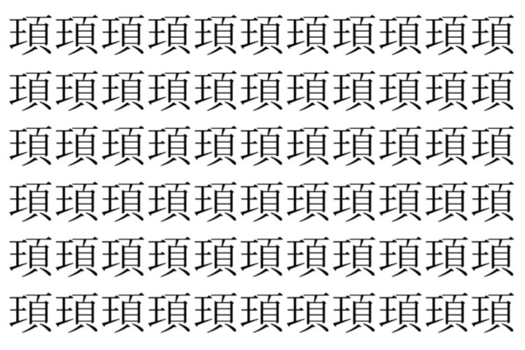 【脳トレ】「頊」の中に紛れて1つ違う文字がある！？あなたは何秒で探し出せるかな？？【違う文字を探せ！】