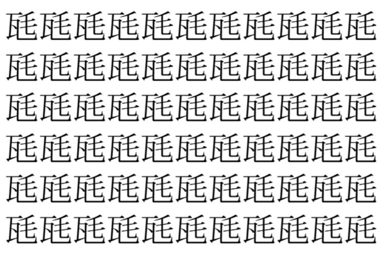 【脳トレ】「瓱」の中に紛れて1つ違う文字がある！？あなたは何秒で探し出せるかな？？【違う文字を探せ！】
