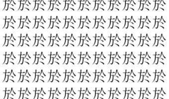 【脳トレ】「於」の中に紛れて1つ違う文字がある!?あなたは何秒で探し出せるかな??【違う文字を探せ!】