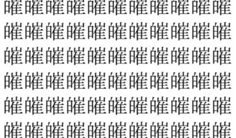 【脳トレ】「皠」の中に紛れて1つ違う文字がある!?あなたは何秒で探し出せるかな??【違う文字を探せ!】