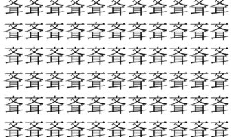 【脳トレ】「斊」の中に紛れて1つ違う文字がある!?あなたは何秒で探し出せるかな??【違う文字を探せ!】