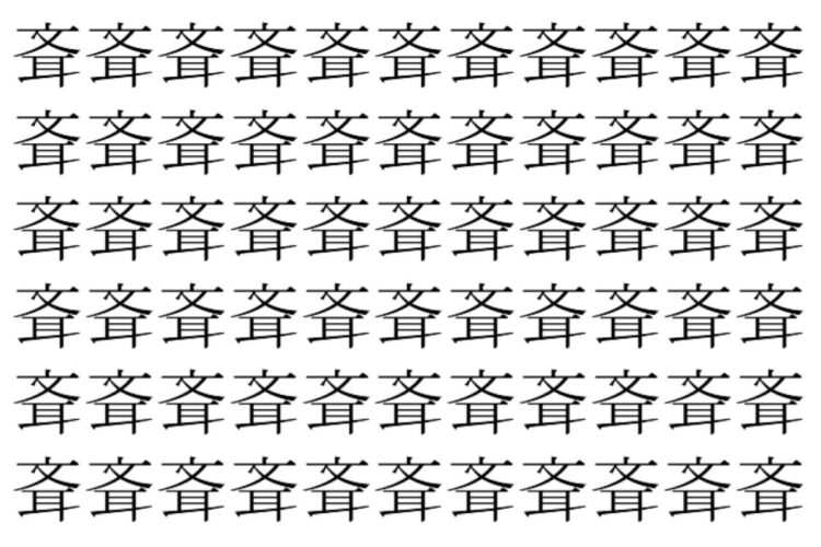 【脳トレ】「斊」の中に紛れて1つ違う文字がある！？あなたは何秒で探し出せるかな？？【違う文字を探せ！】