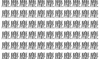 【脳トレ】「䴤」の中に紛れて1つ違う文字がある!?あなたは何秒で探し出せるかな??【違う文字を探せ!】