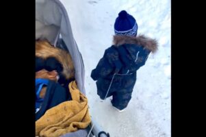 なにかがおかしい？幼い男の子と愛犬のおさんぽ風景【海外・動画】