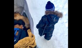 なにかがおかしい?幼い男の子と愛犬のおさんぽ風景【海外・動画】