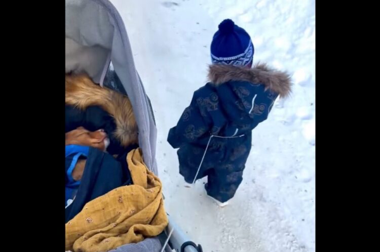 なにかがおかしい？幼い男の子と愛犬のおさんぽ風景【海外・動画】