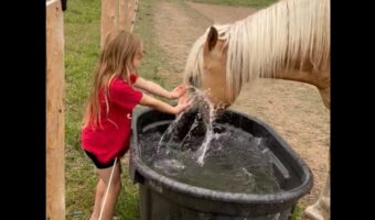 一緒にバシャバシャ！女の子と馬は水のかけ合いっこ中！【海外・動画】