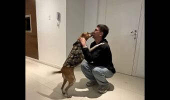 感動の再会!2年ぶりに会えた飼い主さんに愛犬は大喜び!!【海外・動画】
