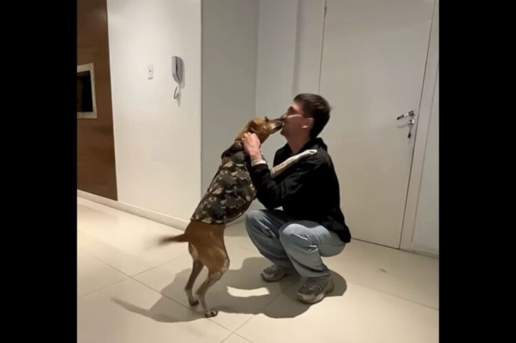 感動の再会！2年ぶりに会えた飼い主さんに愛犬は大喜び！！【海外・動画】