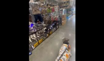 ハロウィンの装飾アイテムを見に行ったら・・。愛犬がビビった相手はオオカミ男!?【アメリカ・動画】