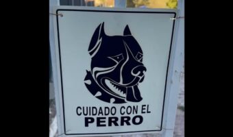 『猛犬注意!』の警告プレート。どんな怖い子が待ち構えていると思いきや・・看板の下にいたのは!?【海外・動画】