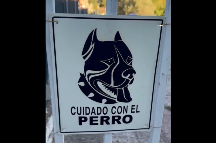 『猛犬注意！』の警告プレート。どんな怖い子が待ち構えていると思いきや・・看板の下にいたのは！？【海外・動画】