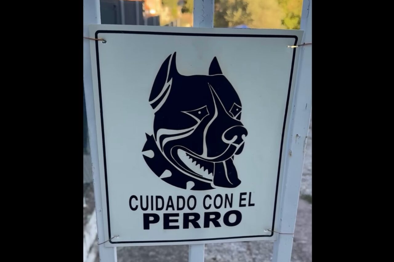 『猛犬注意！』の警告プレート。どんな怖い子が待ち構えていると思いきや・・看板の下にいたのは！？【海外・動画】