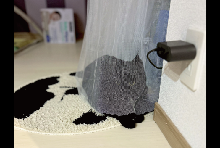 カーテンで上手に隠れている？レースのカーテンの中にいる黒猫の姿に「かわいい！」「投網に捕まったみたいやで？」