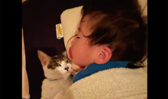 ネコが添い寝で慰めてくれている?男の子と一緒に布団にくるまる姿に反響「本当に優しい」「横にいてくれて心強い」
